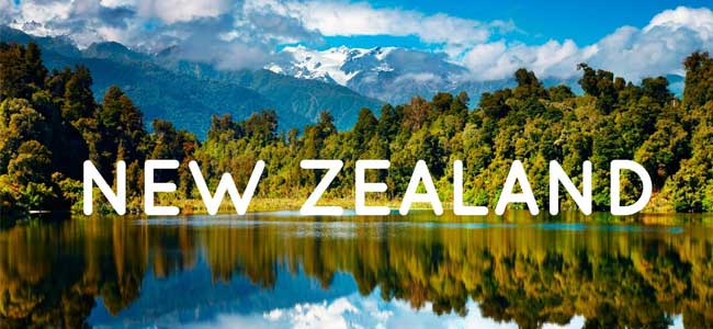 New Zealand Silver Fern Visa